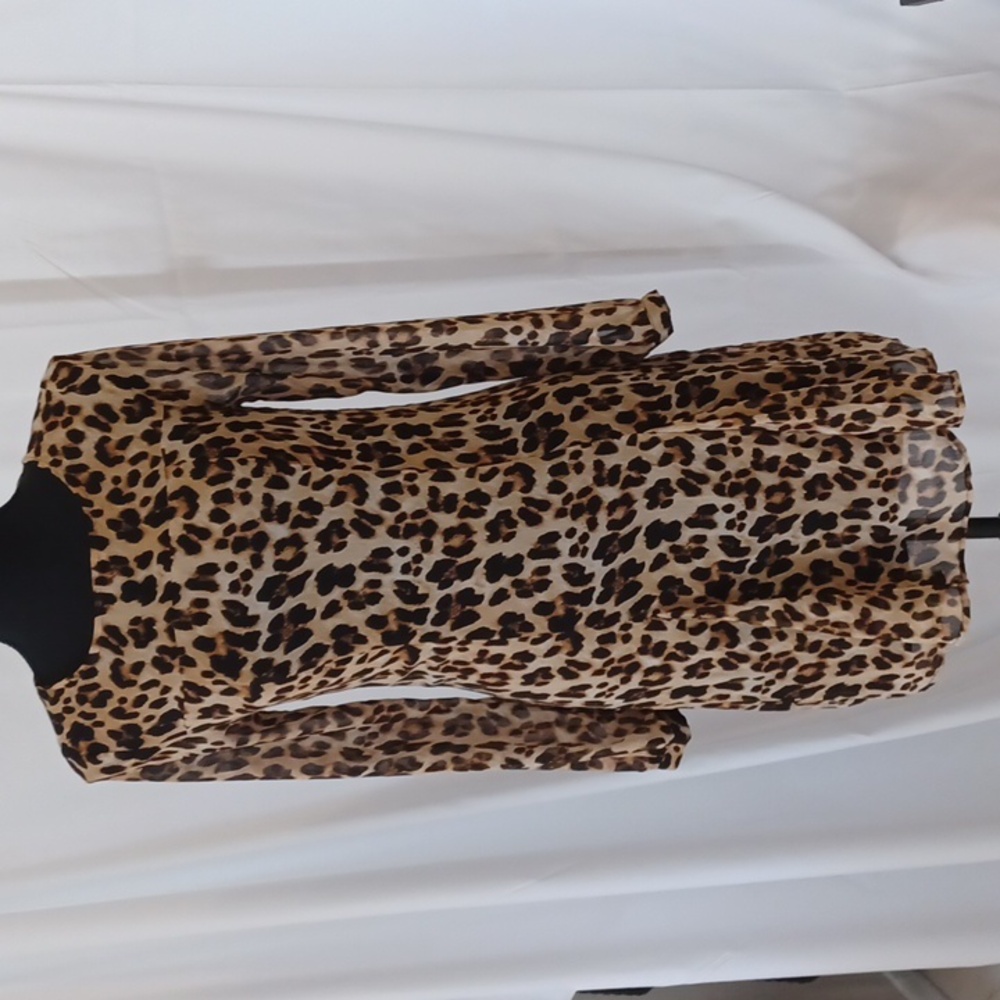 The Limited Dress